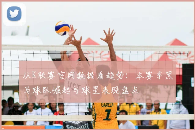 从K联赛官网数据看趋势：本赛季黑马球队崛起与球星表现盘点