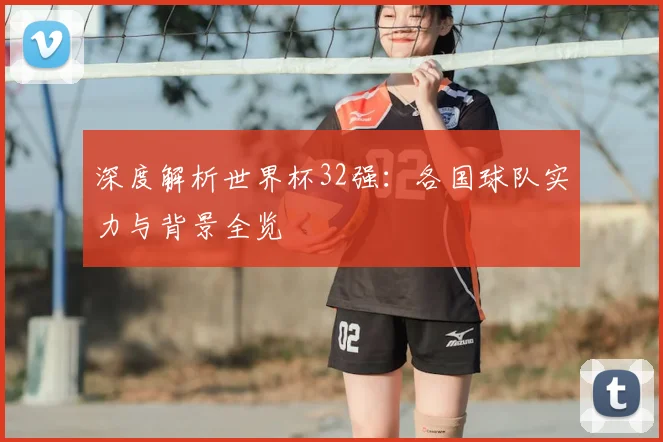 深度解析世界杯32强:各国球队实力与背景全览