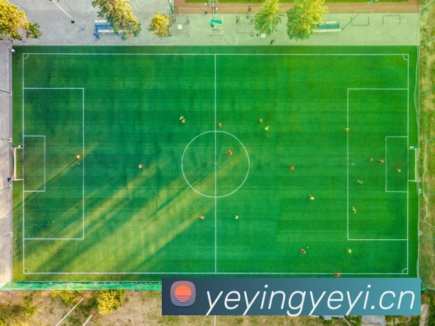 华体育app官网登录平台生态图